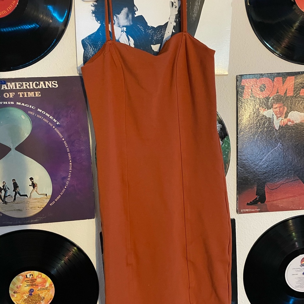 Bodycon Rust Forever 21 Dress